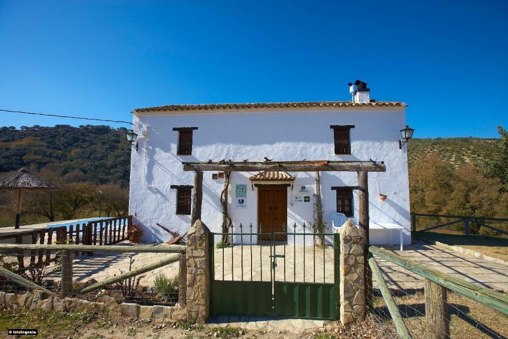 Hotel Enrique Calvillo El Bosque Ruang foto