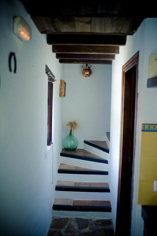 Hotel Enrique Calvillo El Bosque Bagian luar foto
