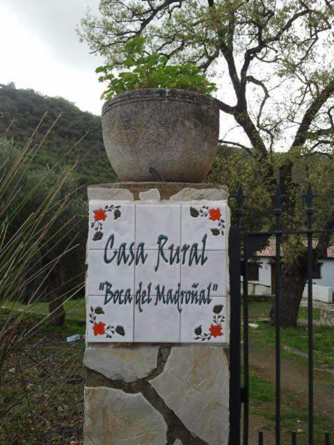 Hotel Enrique Calvillo El Bosque Ruang foto